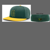 Player Hat 2025 PTS20 PULSE R-FLEX