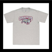 Mahoning Valley Scrappers